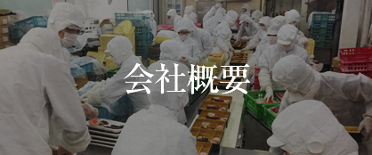 会社案内