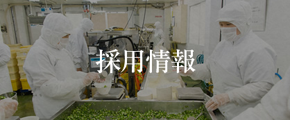 採用情報