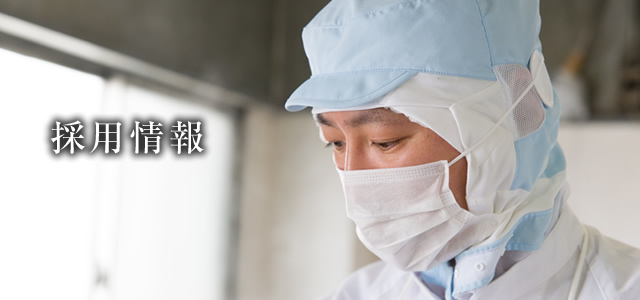採用情報